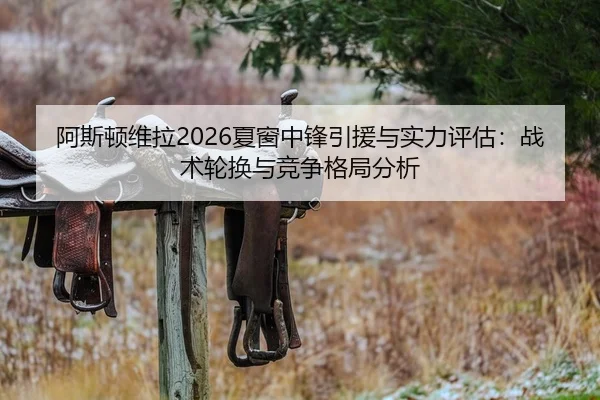 阿斯顿维拉2026夏窗中锋引援与实力评估：战术轮换与竞争格局分析